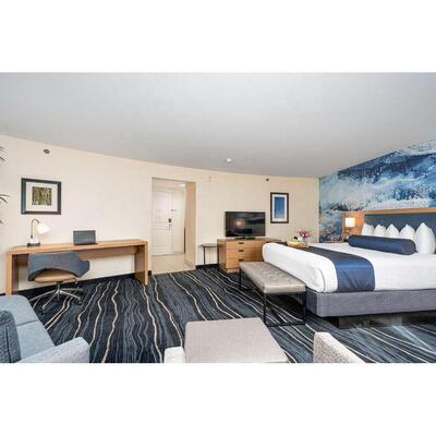 Hot Sell Best Western Plus Commercial Modern Style Hotel Bedroom Suite 3 Star Wood Hotel Nordic Style Elegant Hotel Furniture
