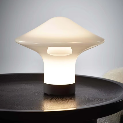 Modern Style Wall Mounted Decorative Lighting Fixtures for Living Rooms Private Dining Rooms in Hotels/Restaurants for Bedrooms