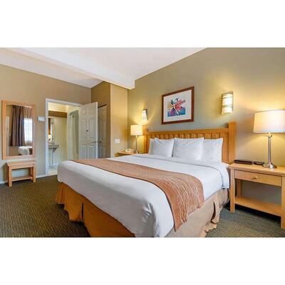 Customized Econo Lodge Choice 3 Star Comfortable Hotel Furniture Efficiency King Queen Hotel Bedroom Sets Foshan Hotel Furniture