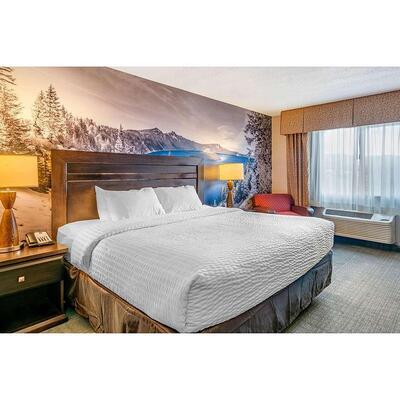 Hot Sell Clarion Pointe by Choice Contemporary Hotel Furniture Design Hotel Project Furniture Updated Hotel Bedroom Sets