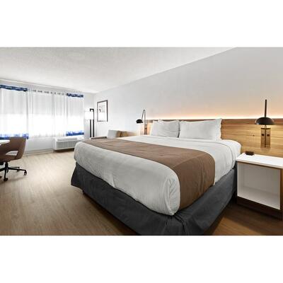 Wyndham Garden Wholesale Hotel Furniture Guest Room Wardrobe Bed Base Headboard Chairs Sofa Liquidation Hotel Bedroom Furniture